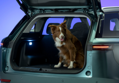 Pet Feature